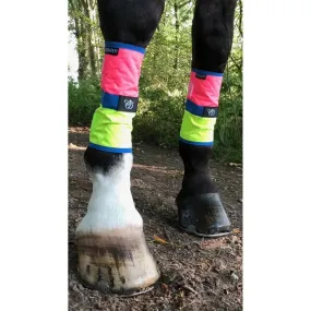 Equisafety Leg Boots Pink/Yellow